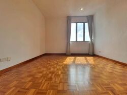 Nassim Regency (D10), Condominium #330013661